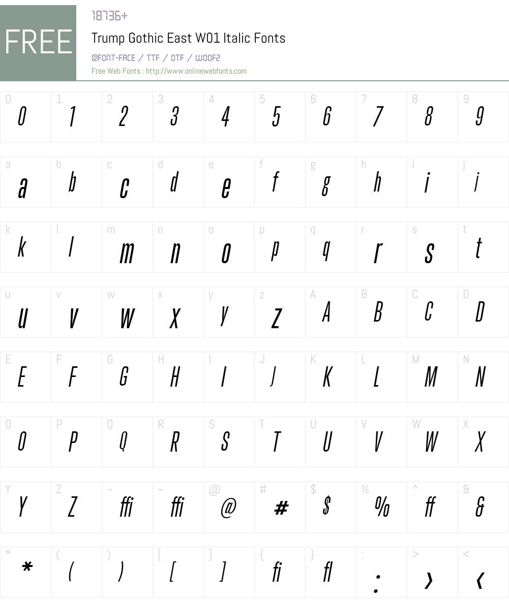TrumpGothicEastW01-Italic Font Screenshots
