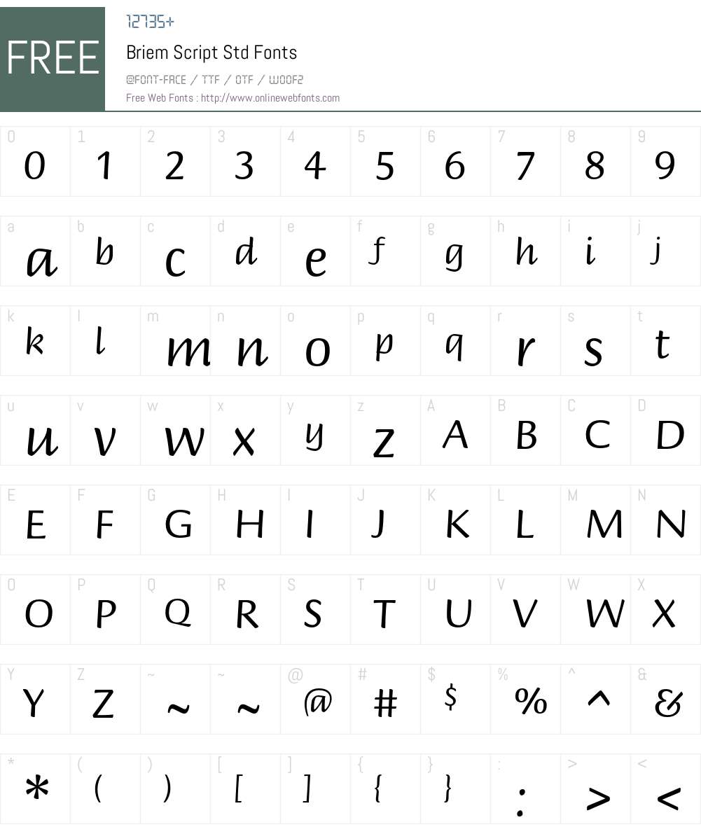 Briem Script Std Font Screenshots