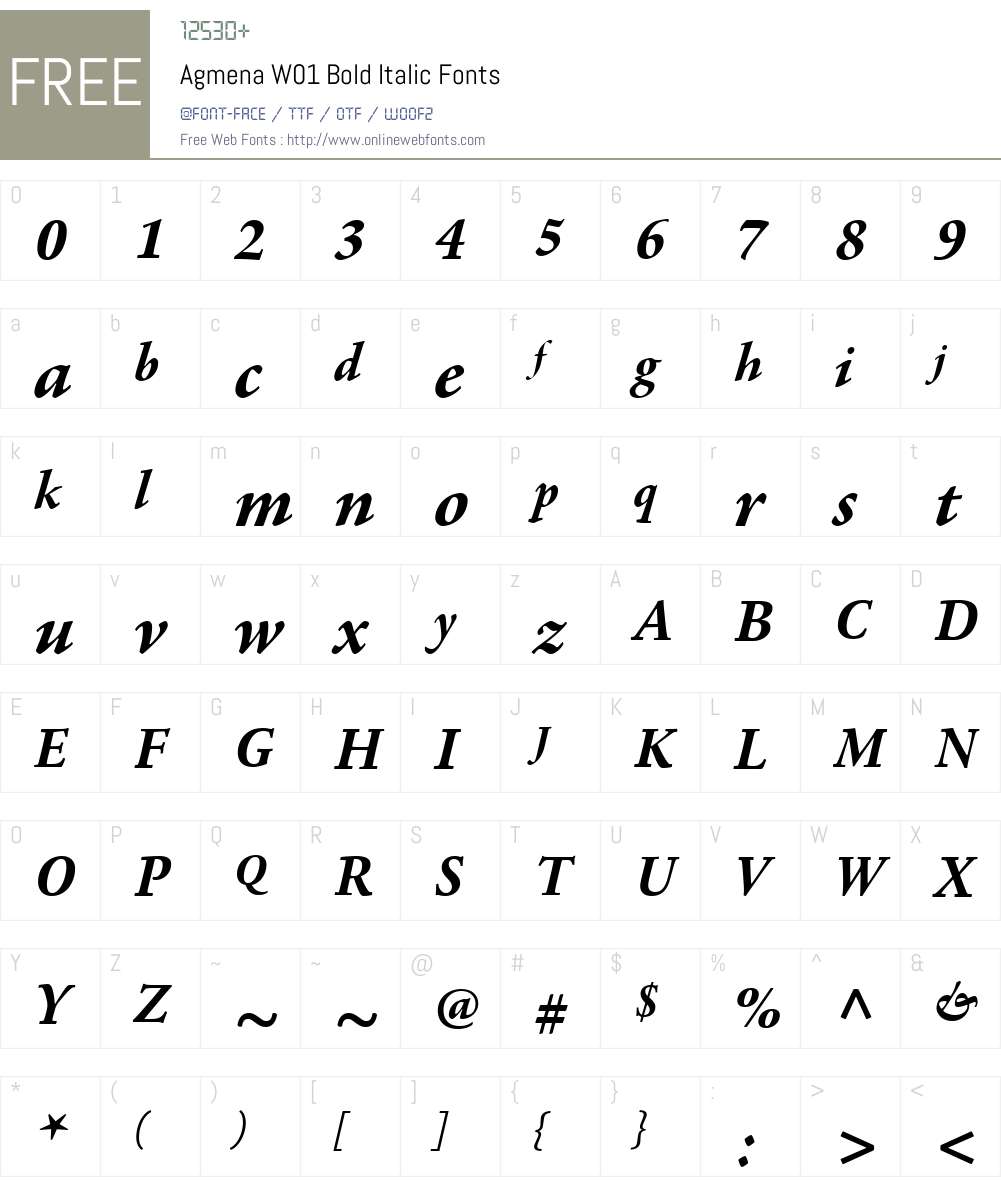 AgmenaW01-BoldItalic Font Screenshots