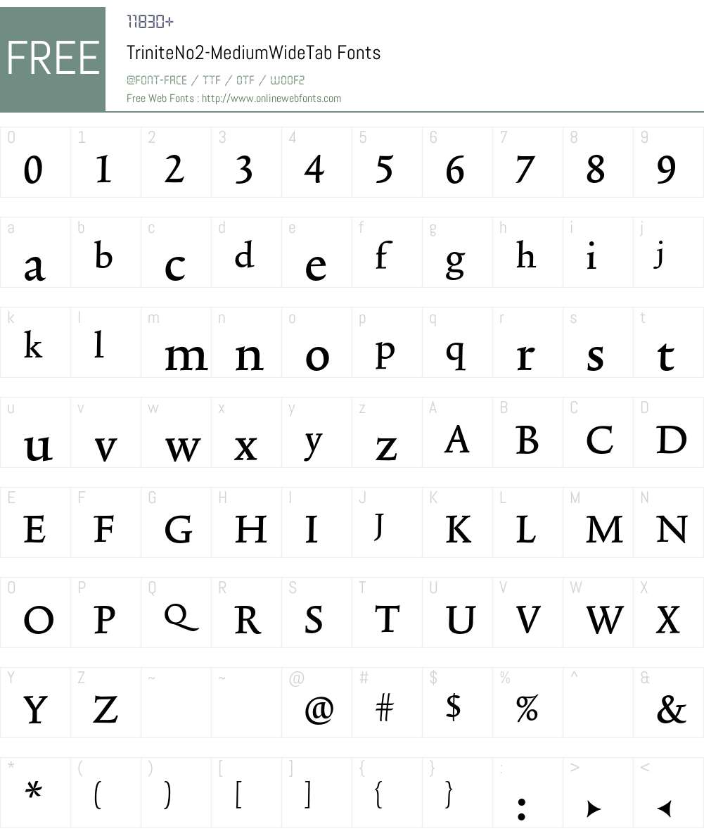 TriniteNo2 Font Screenshots