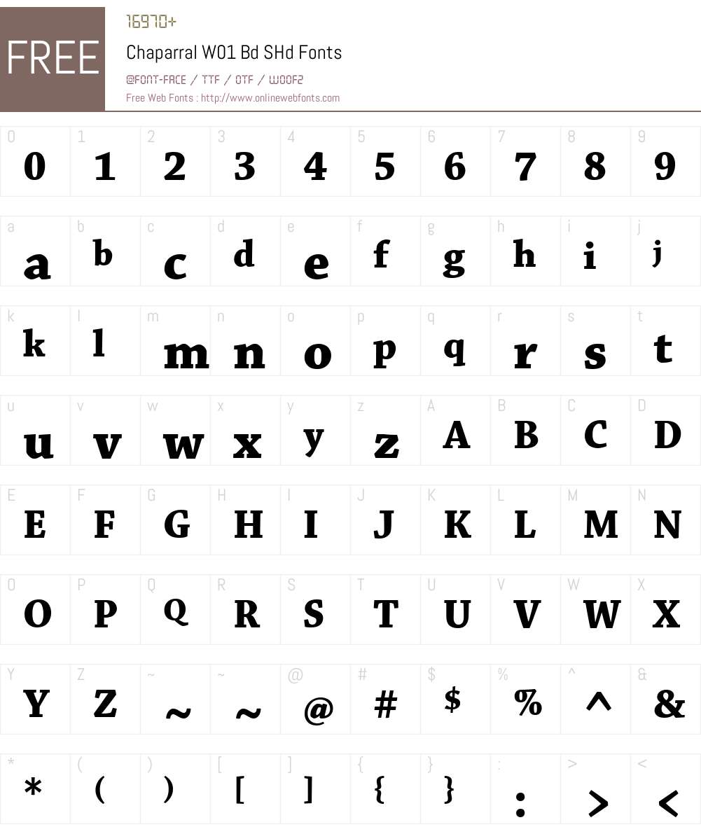ChaparralW01-BdSHd Font Screenshots