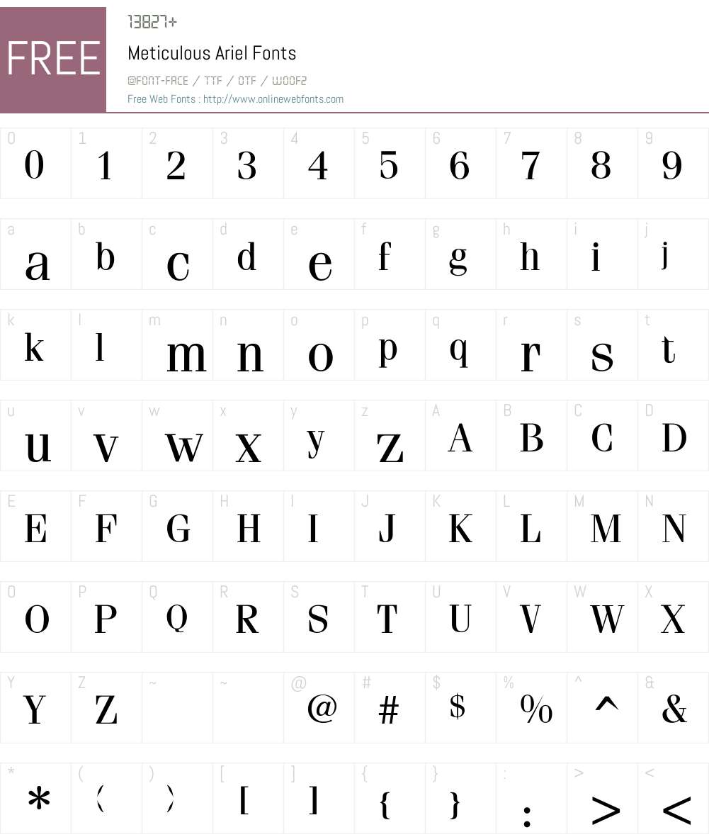 Meticulous Ariel Font Screenshots