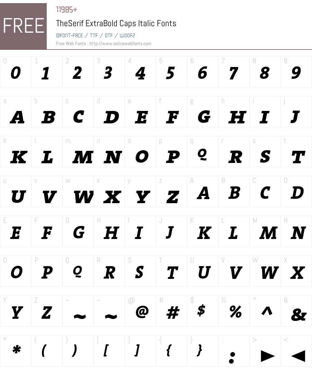 The Serif Extra Bold- Font Screenshots