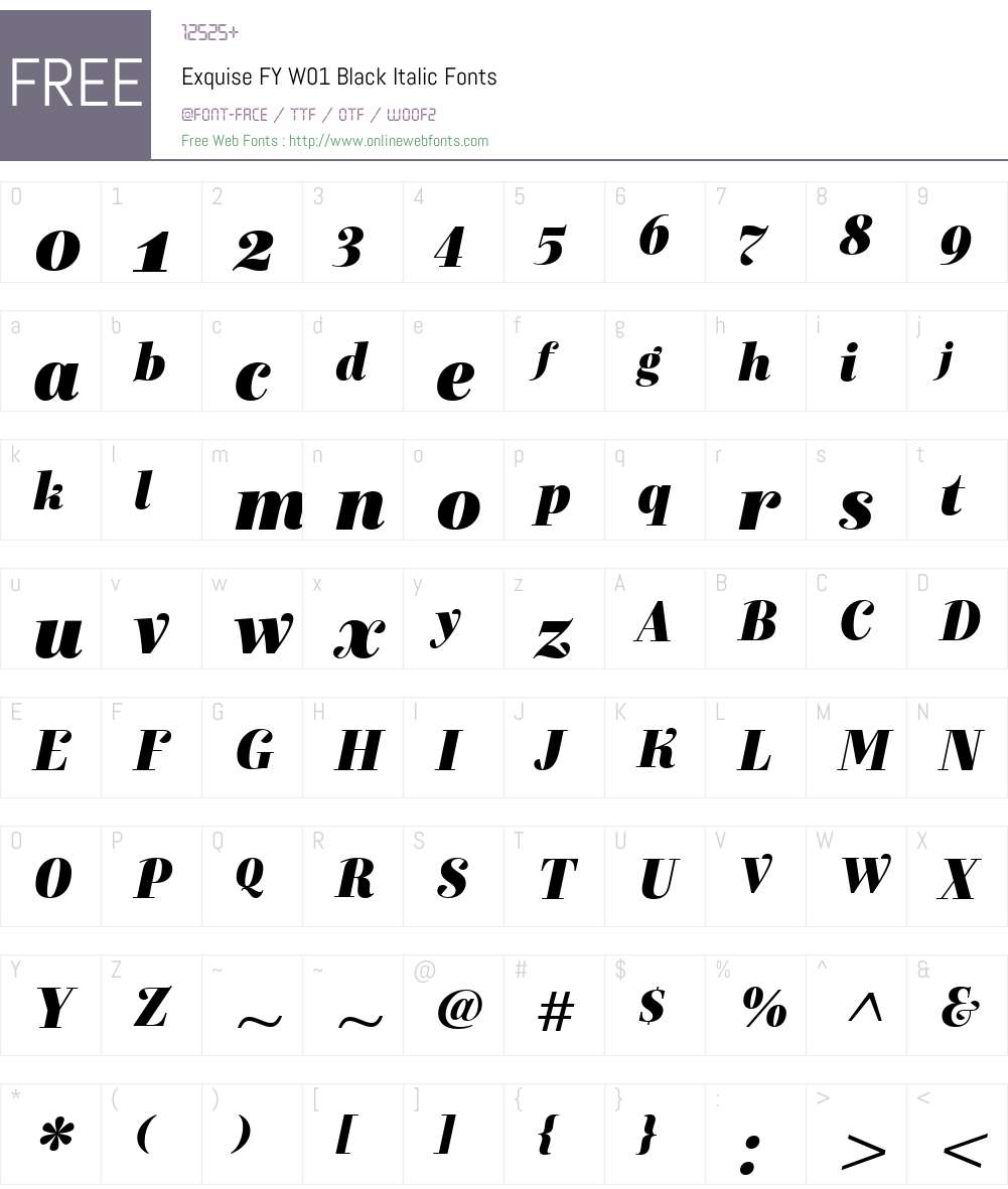 ExquiseFYW01-BlackItalic Font Screenshots