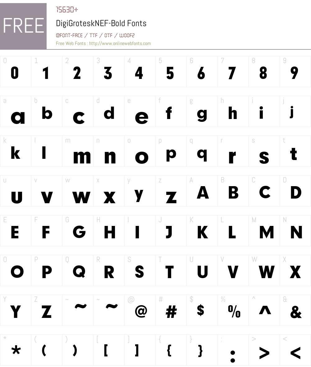 DigiGroteskNEF-Bold Font Screenshots
