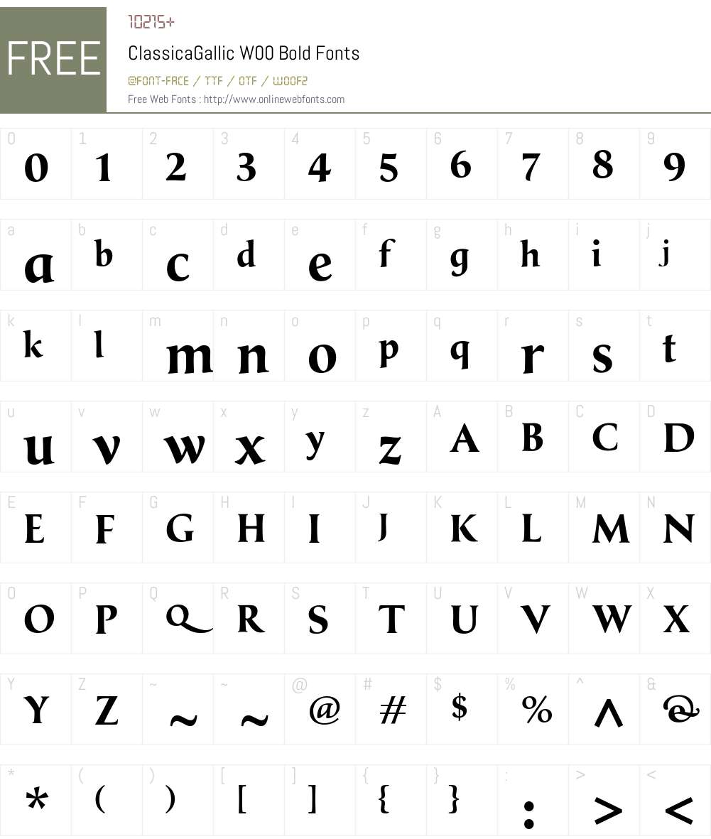 ClassicaGallicW00-Bold Font Screenshots
