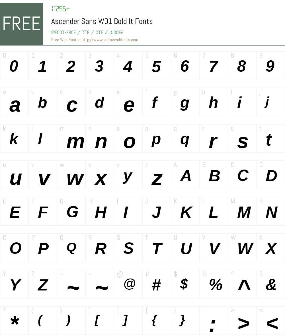 AscenderSansW01-BoldIt Font Screenshots