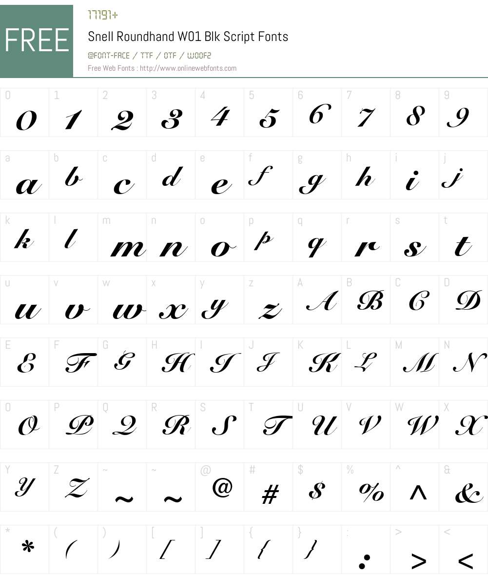 SnellRoundhandW01-BlkScript Font Screenshots