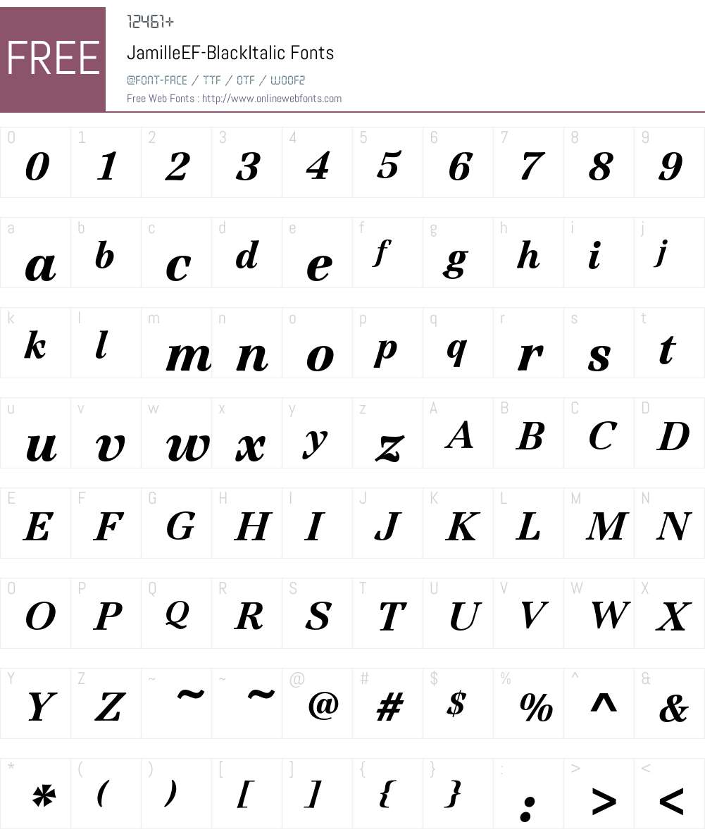 JamilleEF-BlackItalic Font Screenshots