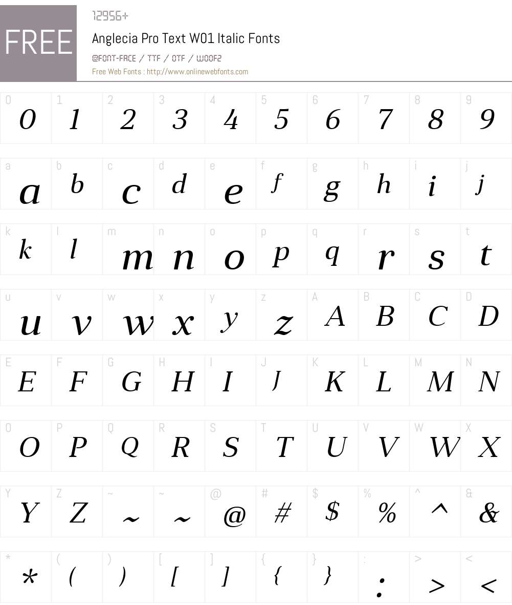 AngleciaProTextW01-Italic Font Screenshots