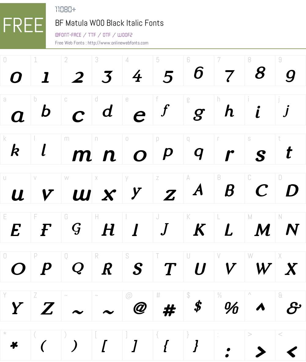 BFMatulaW00-BlackItalic Font Screenshots