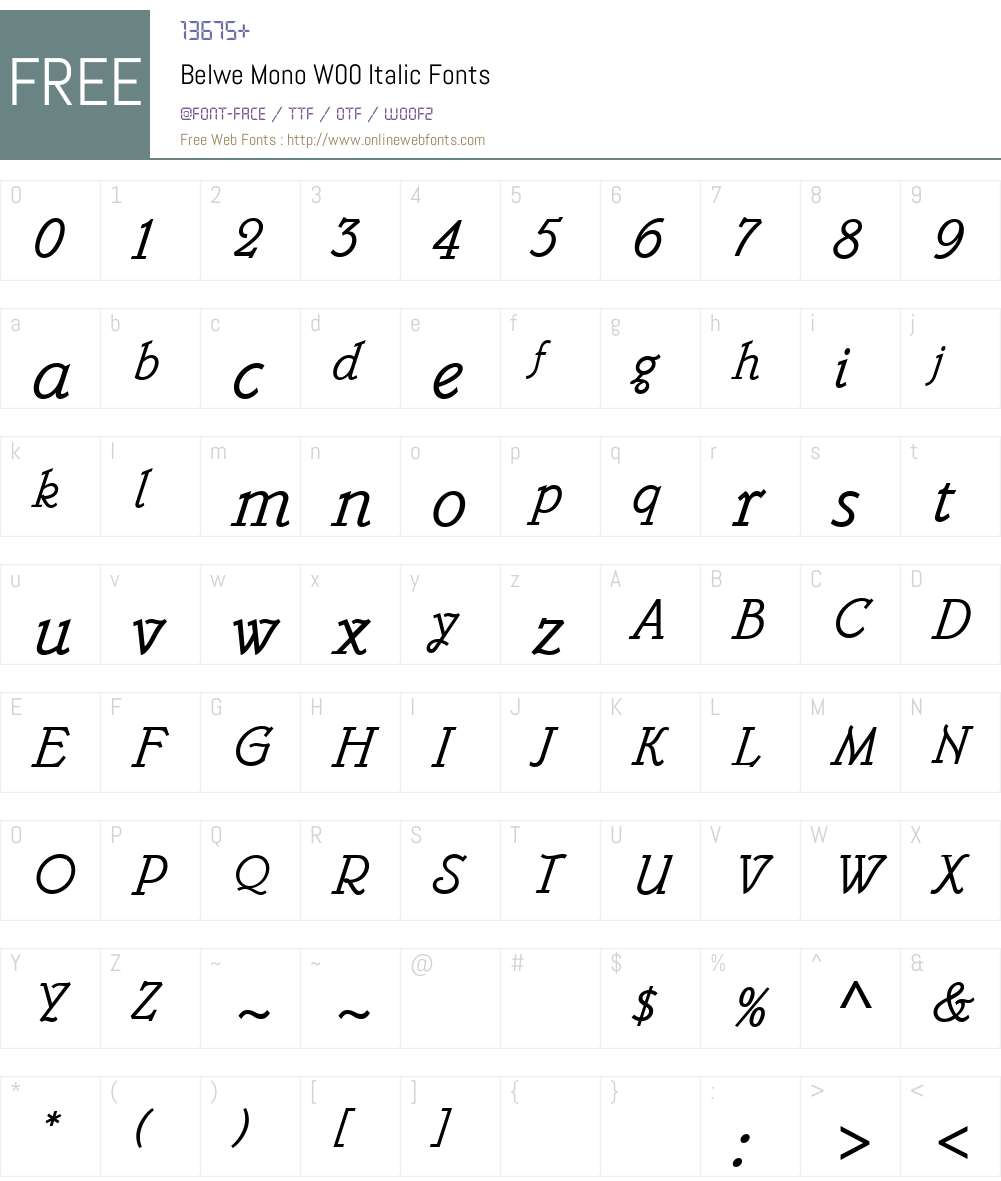 BelweMonoW00-Italic Font Screenshots