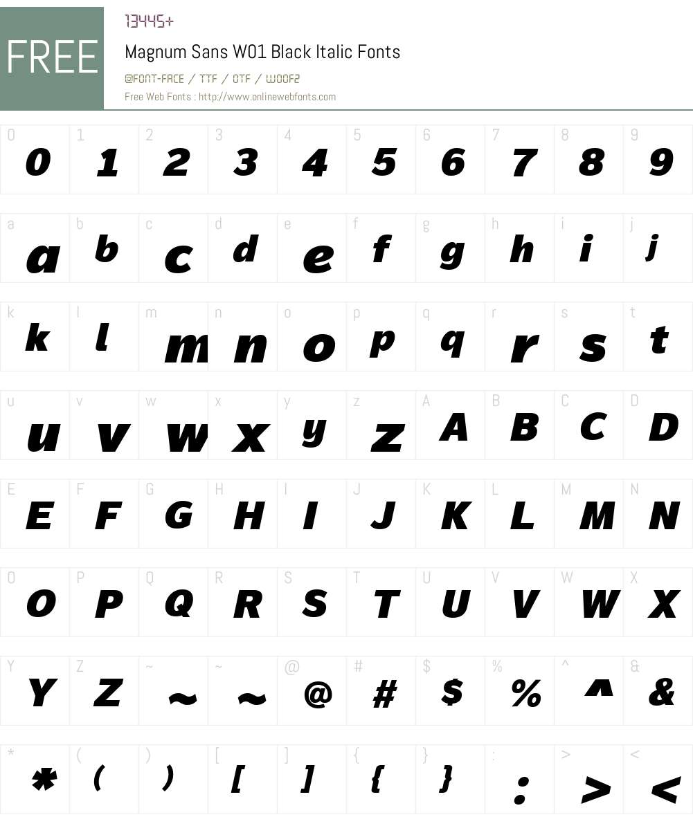 MagnumSansW01-BlackItalic Font Screenshots