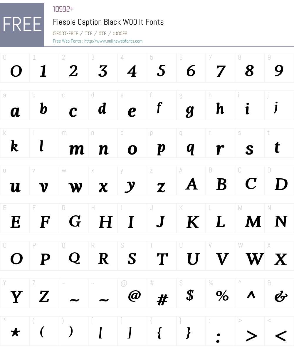 FiesoleCaptionBlackW00-It Font Screenshots