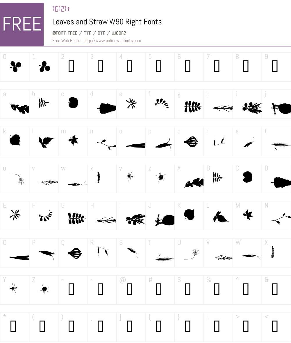 LeavesandStrawW90-Right Font Screenshots