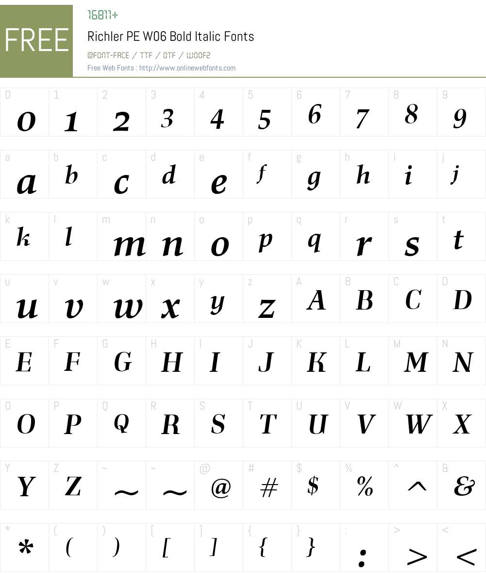 RichlerPEW06-BoldItalic Font Screenshots
