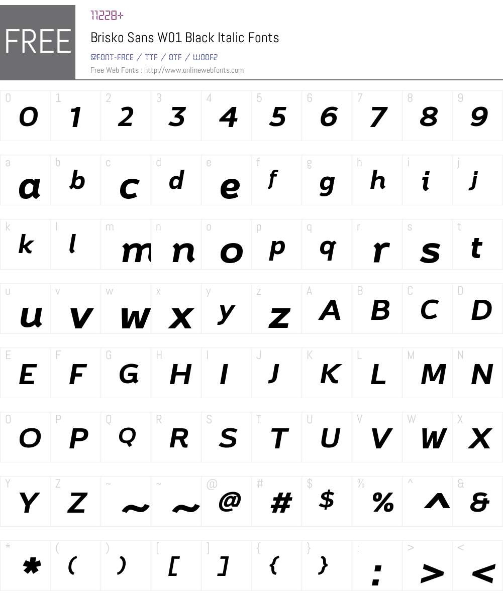 BriskoSansW01-BlackItalic Font Screenshots