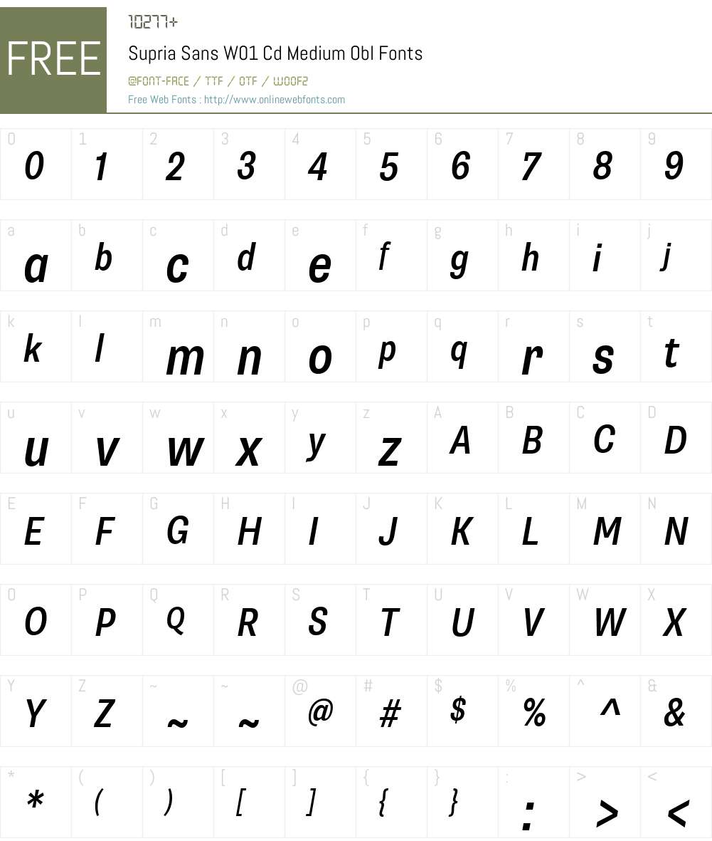 SupriaSansW01-CdMediumObl Font Screenshots