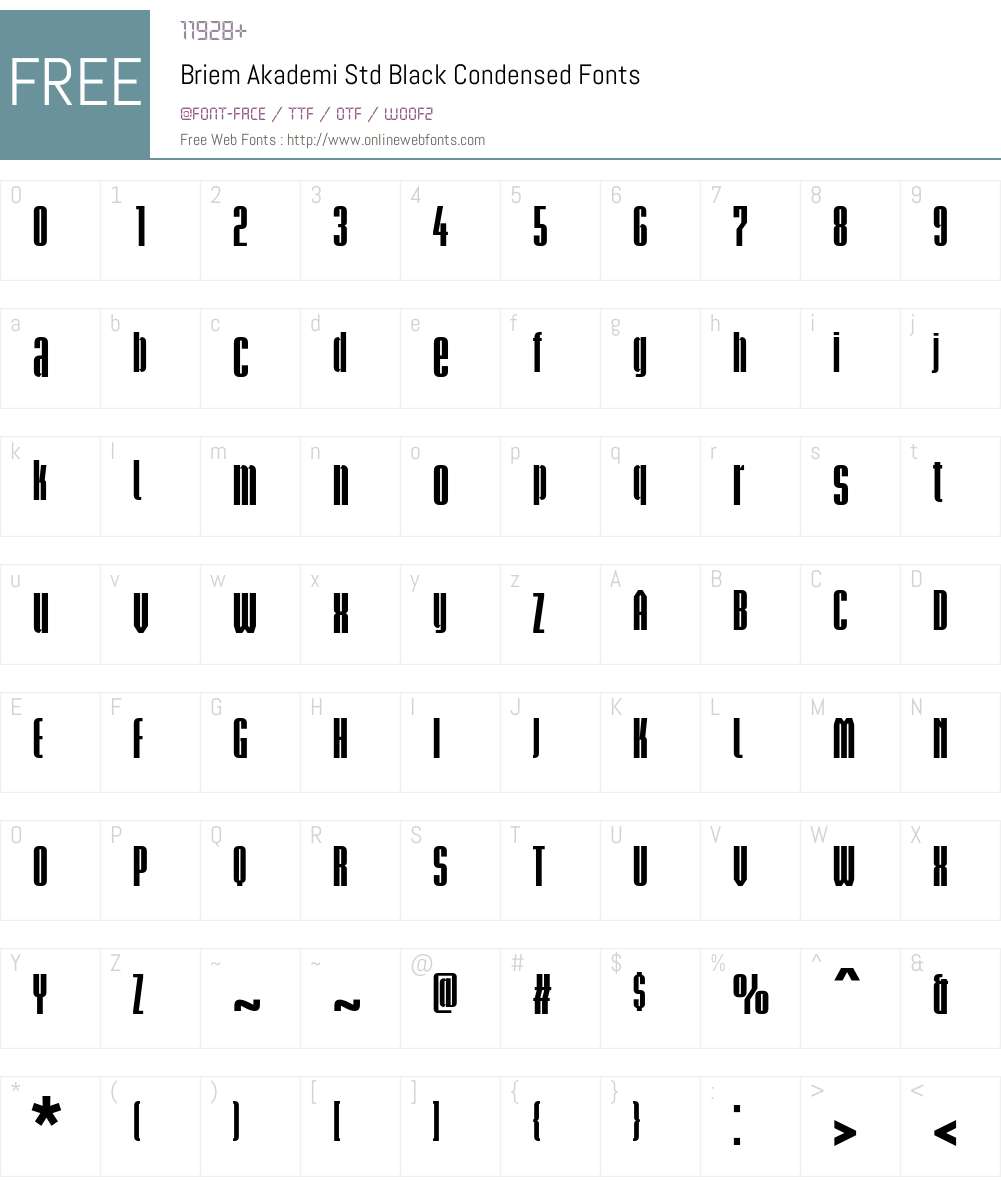 Briem Akademi Std Font Screenshots