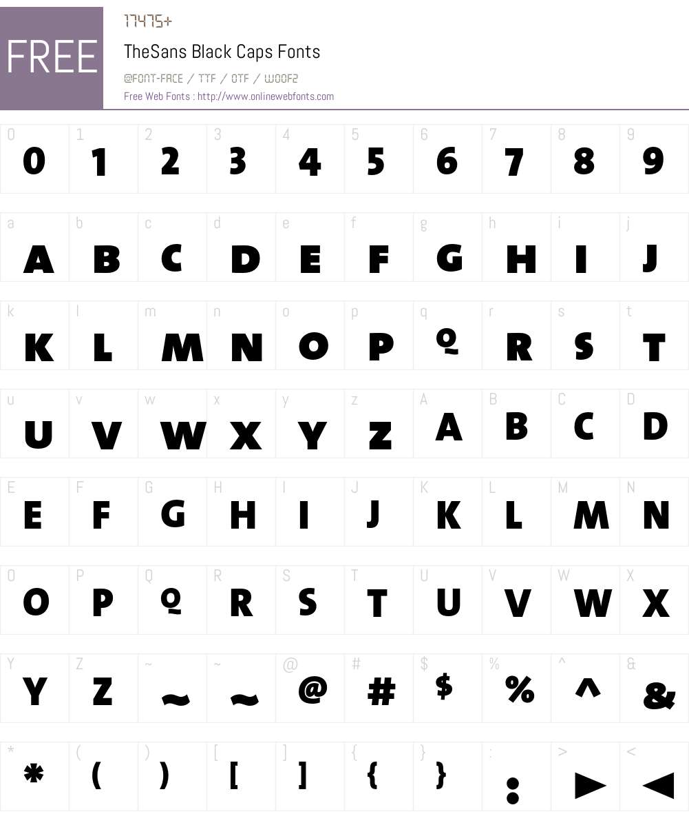 The Sans Black- Font Screenshots