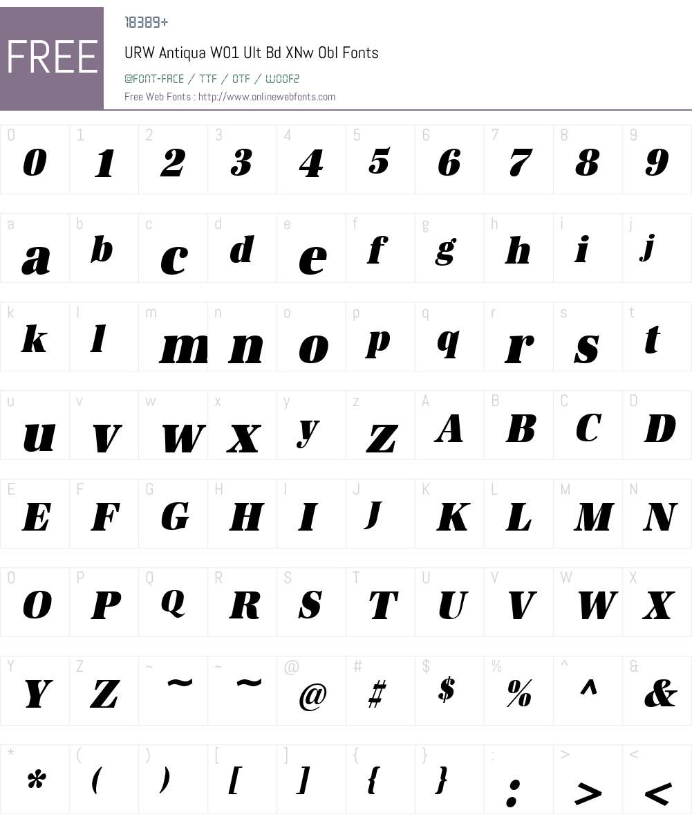 URWAntiquaW01-UltBdXNwObl Font Screenshots