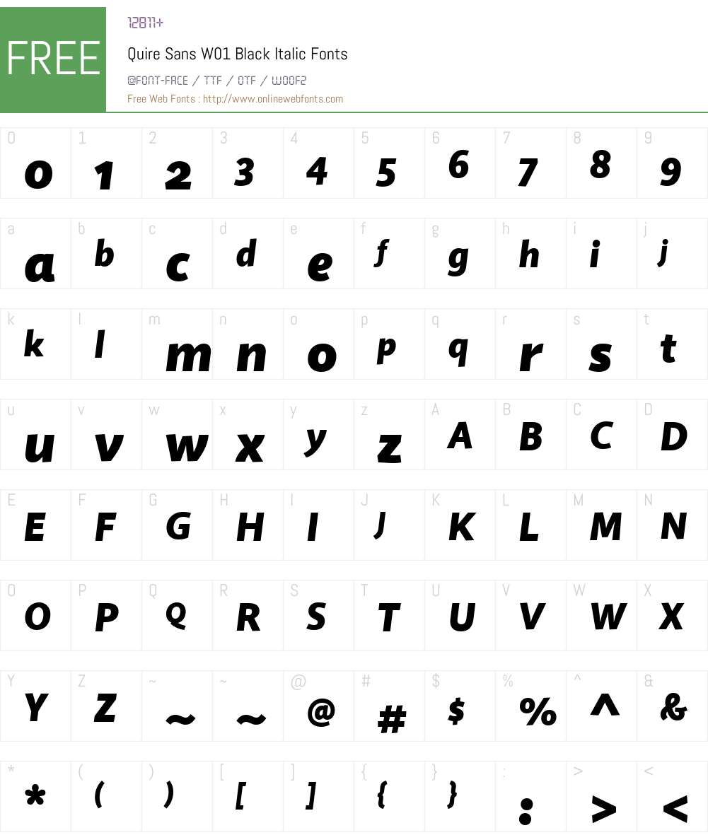 QuireSansW01-BlackItalic Font Screenshots