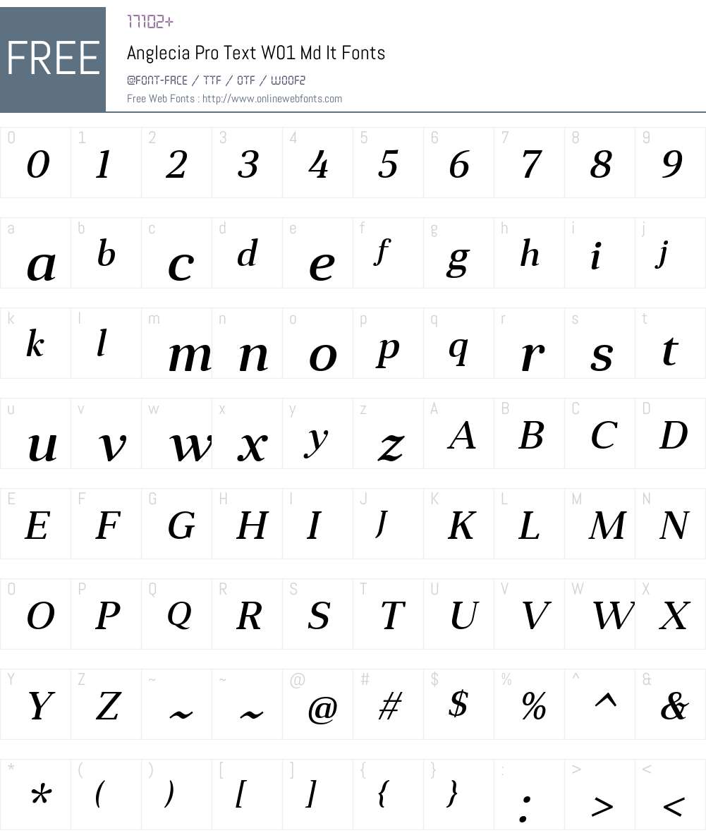 AngleciaProTextW01-MediumIt Font Screenshots
