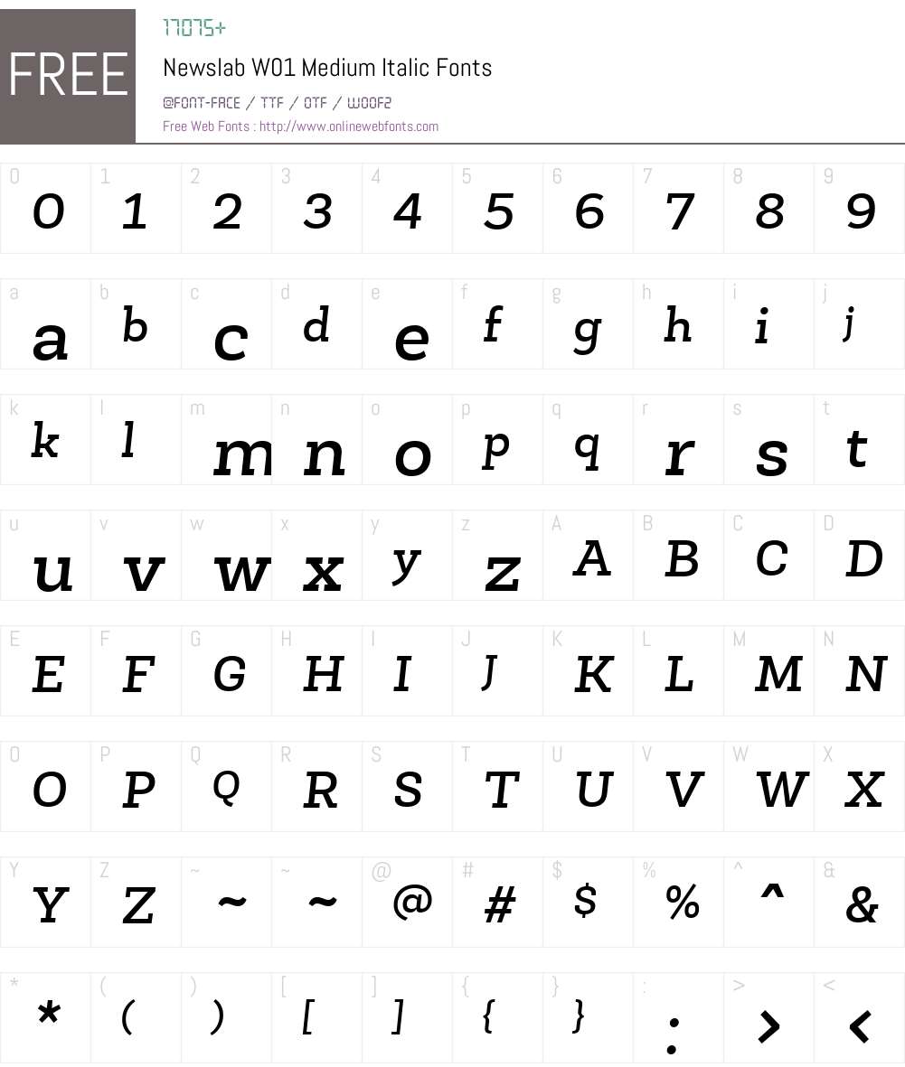 NewslabW01-MediumItalic Font Screenshots