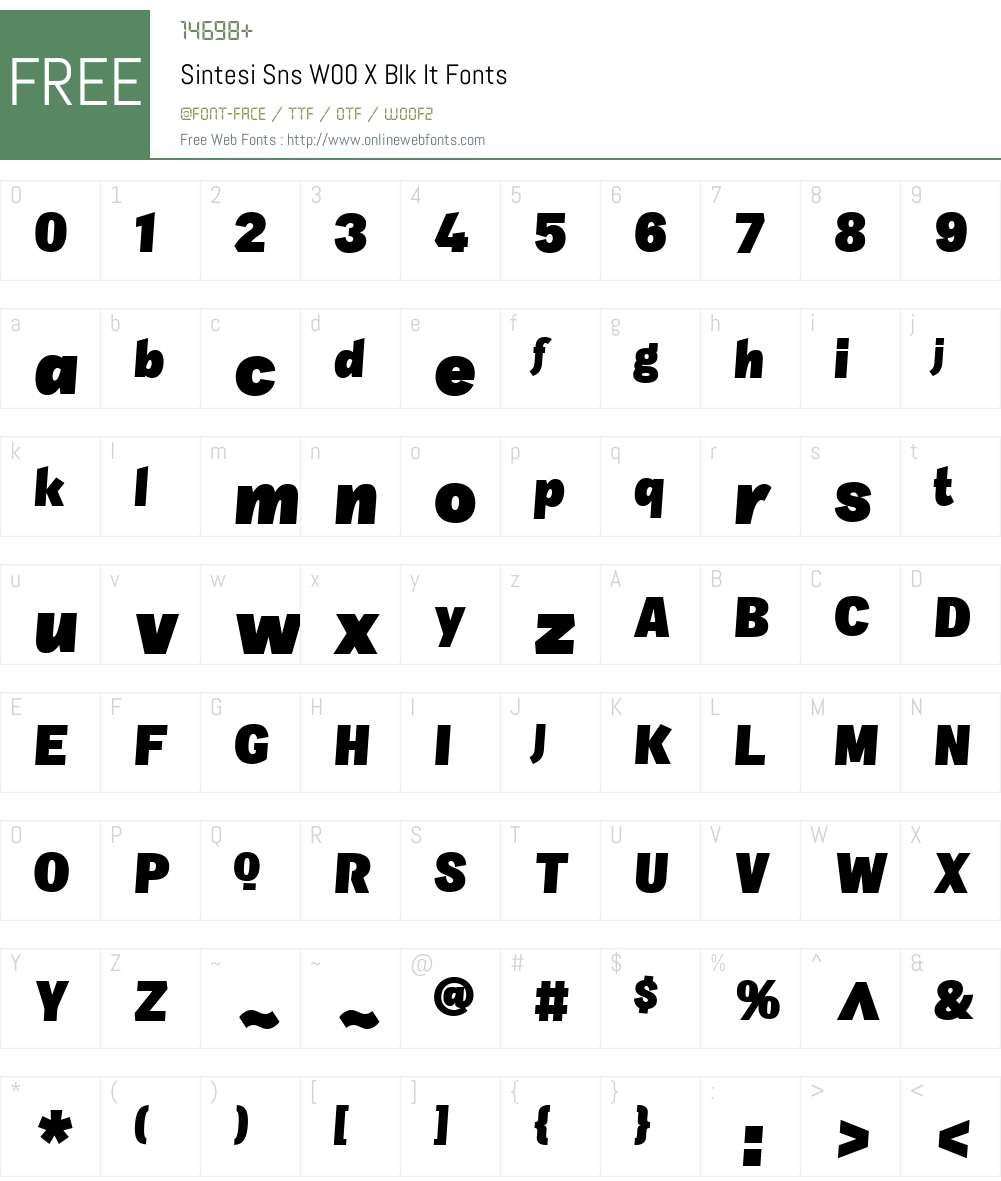SintesiSnsW00-XBlkIt Font Screenshots