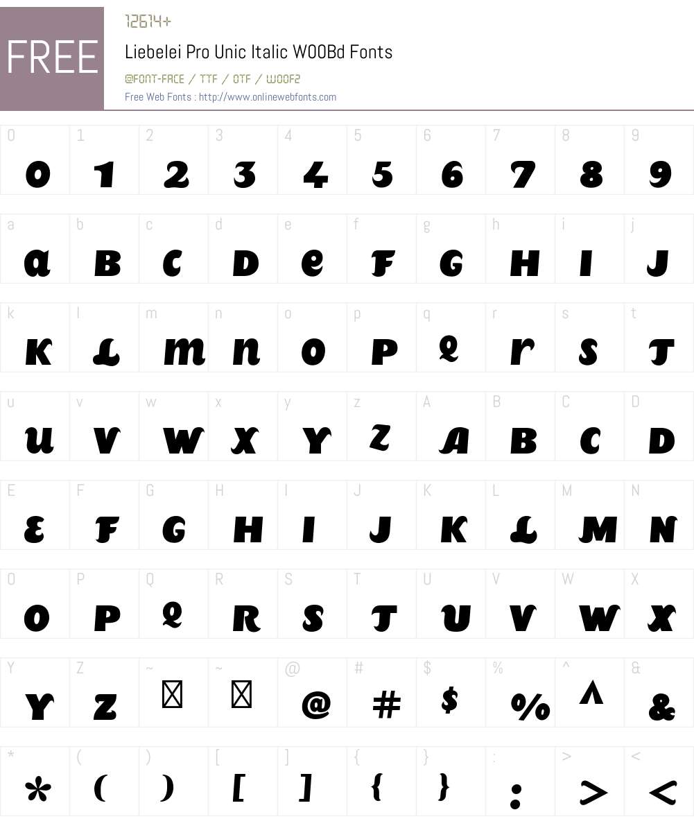 LiebeleiProUnicItalicW00-Bd Font Screenshots