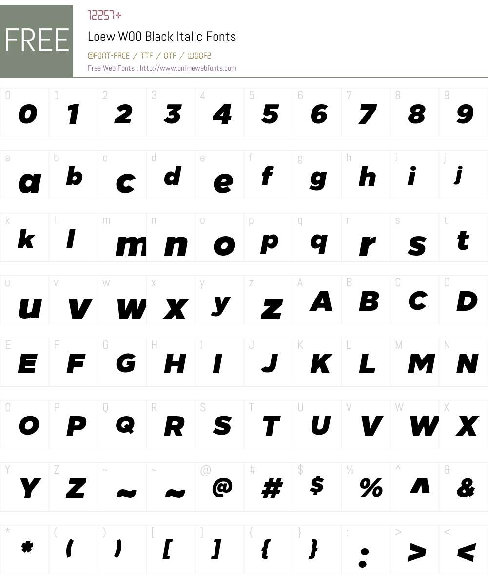 LoewW00-BlackItalic Font Screenshots