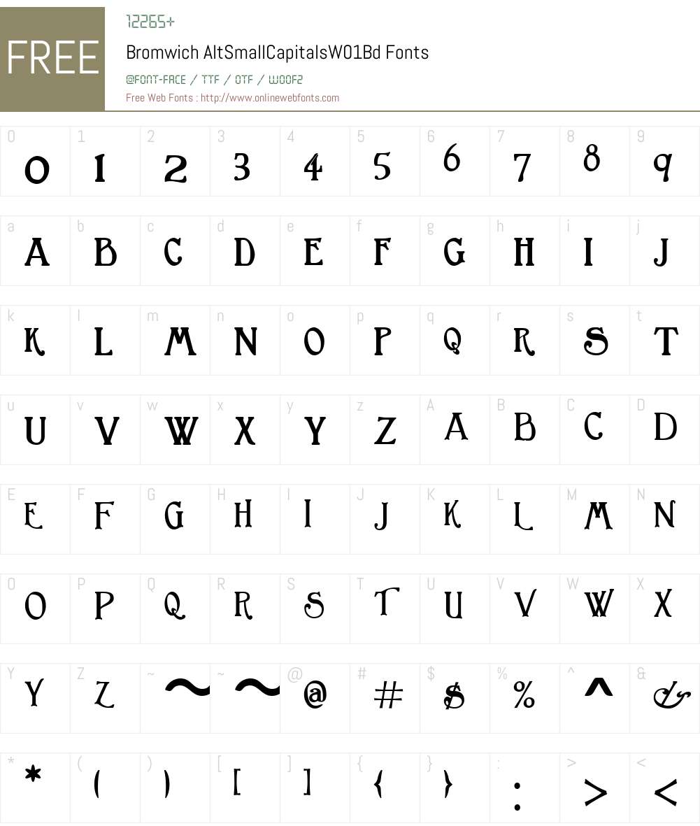 BromwichAltSmallCapitalsW01-Bd Font Screenshots