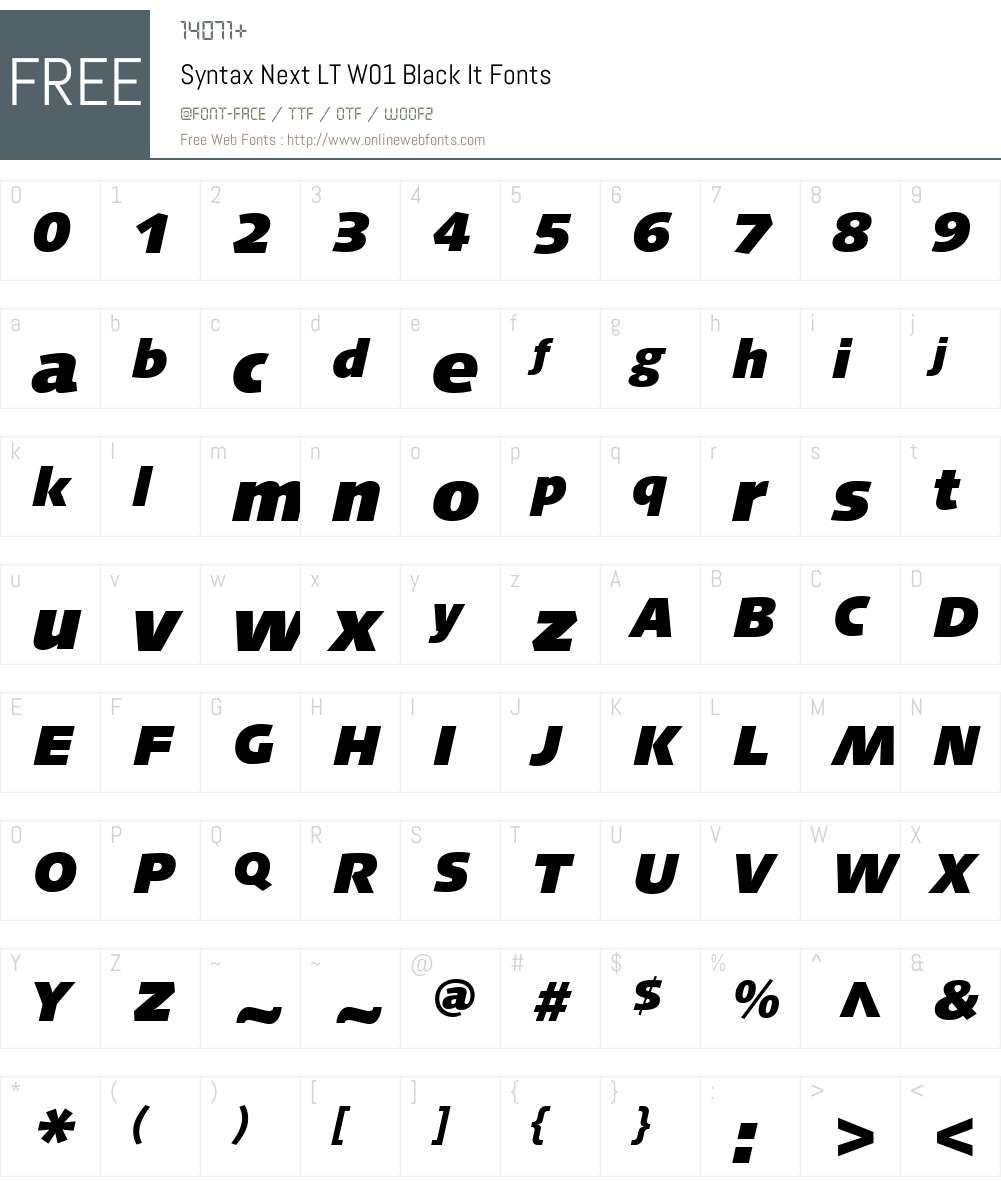 SyntaxNextLTW01-BlackIt Font Screenshots