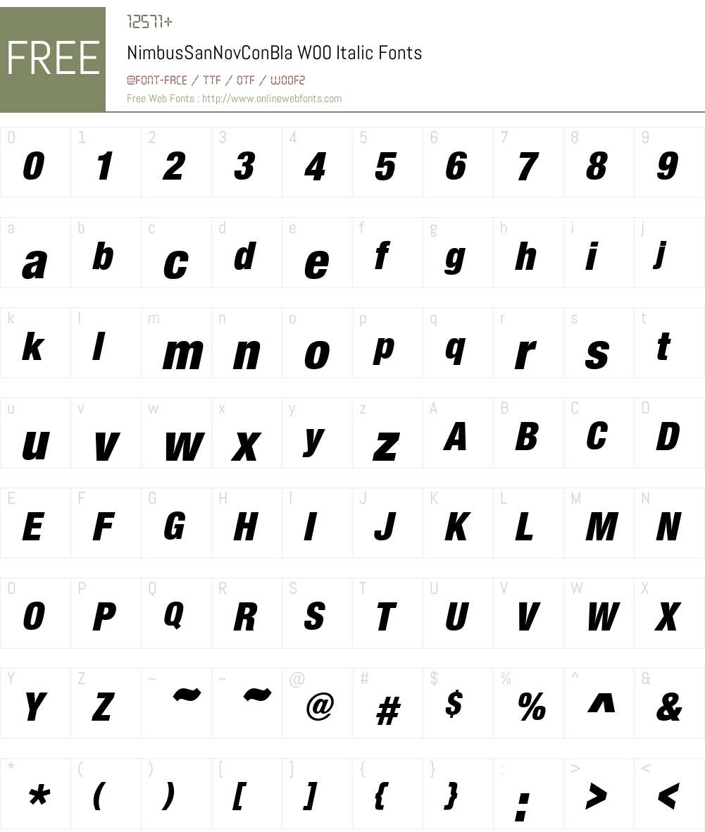 NimbusSanNovConBlaW00-It Font Screenshots
