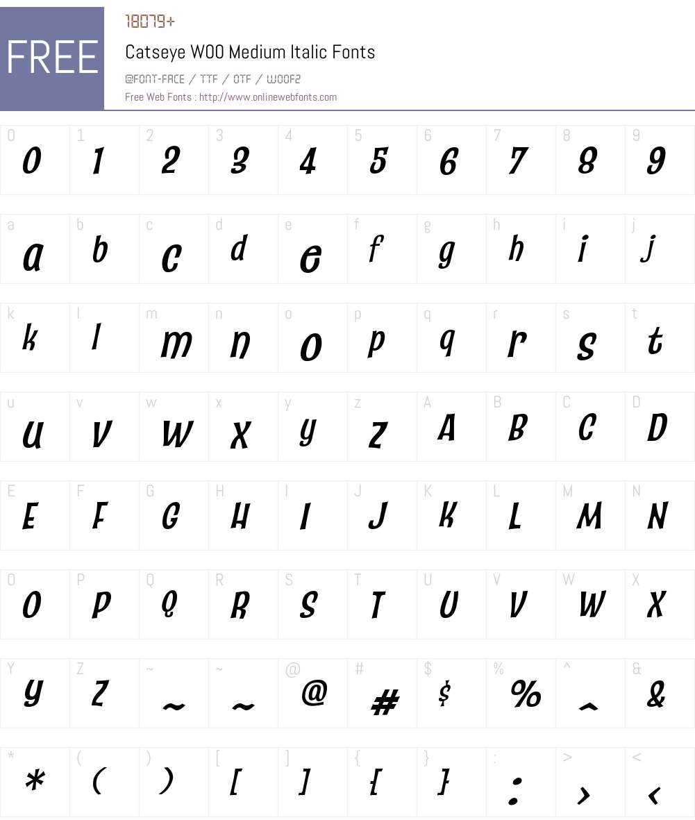CatseyeW00-MediumItalic Font Screenshots