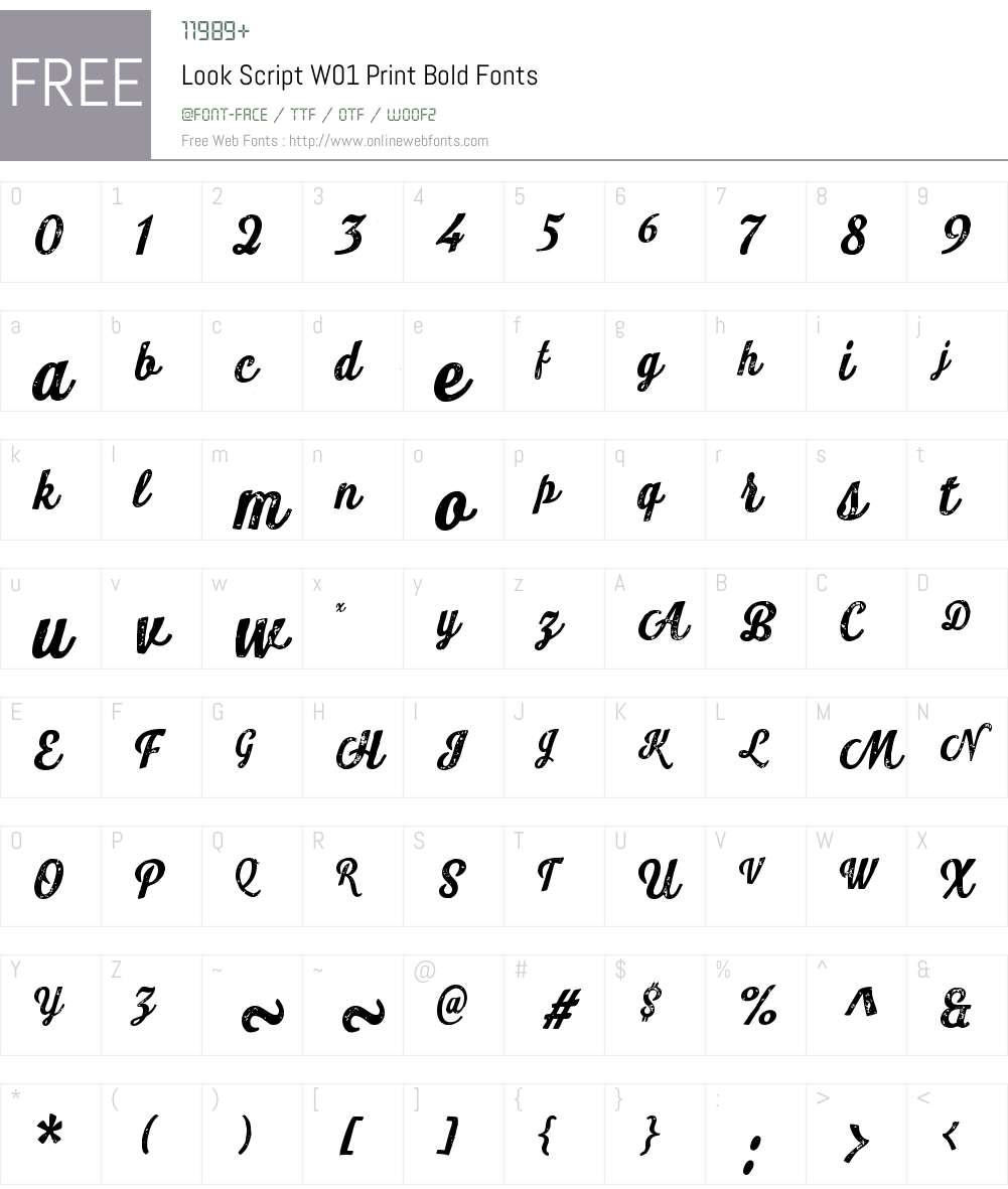 LookScriptW01-PrintBold Font Screenshots