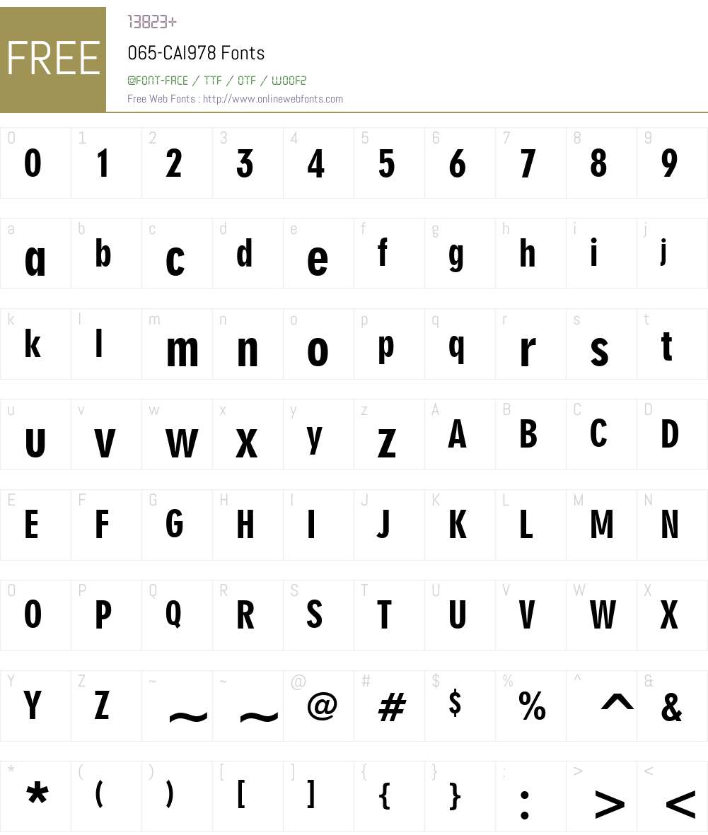 065-CAI978 Font Screenshots