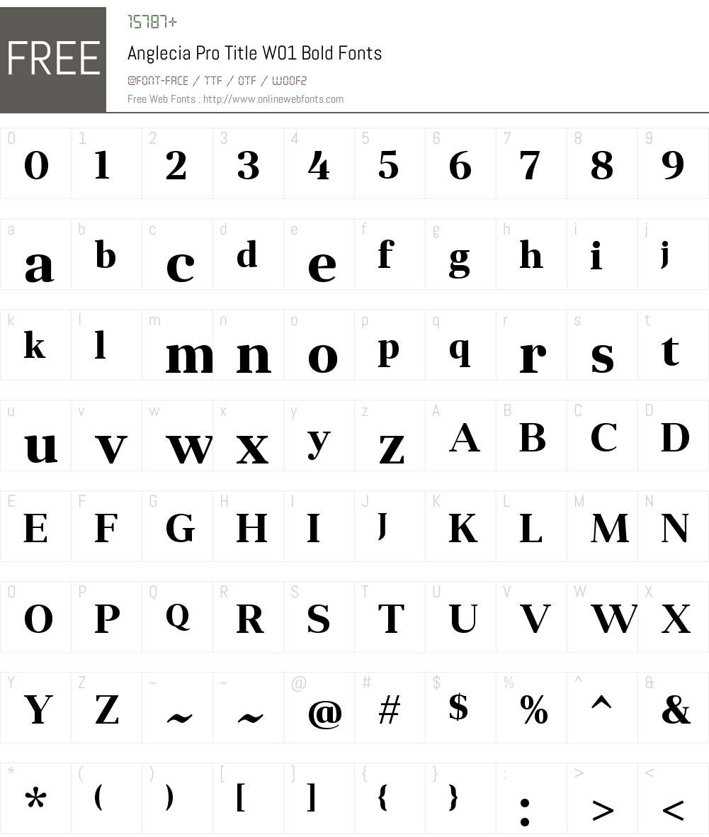 AngleciaProTitleW01-Bold Font Screenshots
