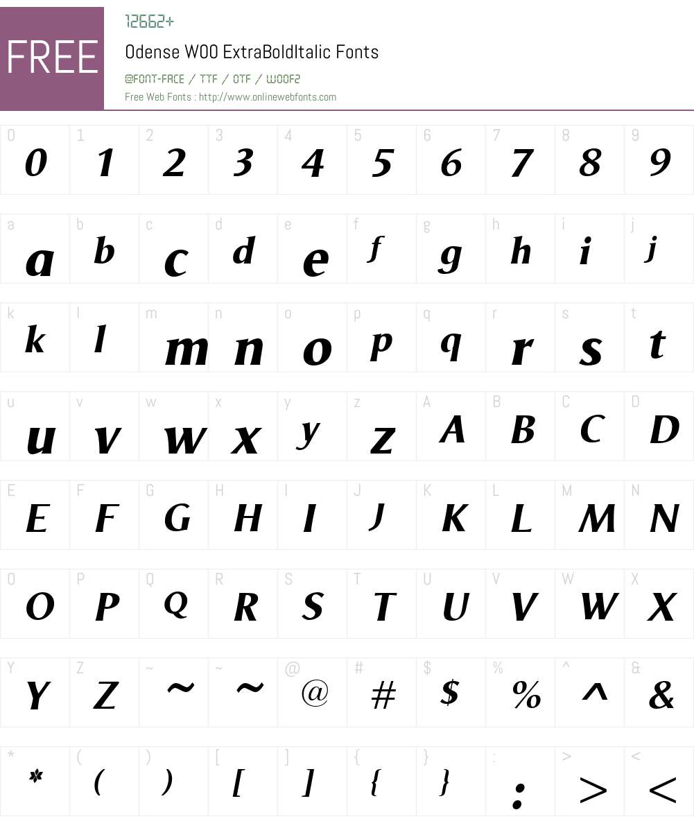 OdenseW00-ExtraBoldItalic Font Screenshots