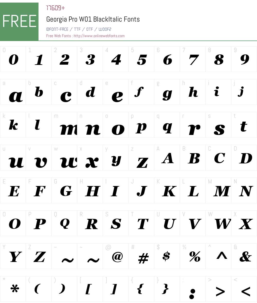 GeorgiaProW01-BlackItalic Font Screenshots