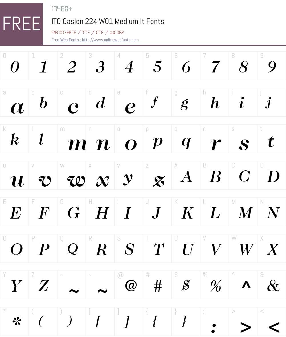 ITCCaslon224W01-MediumIt Font Screenshots
