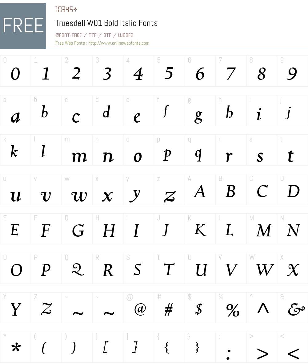 TruesdellW01-BoldItalic Font Screenshots