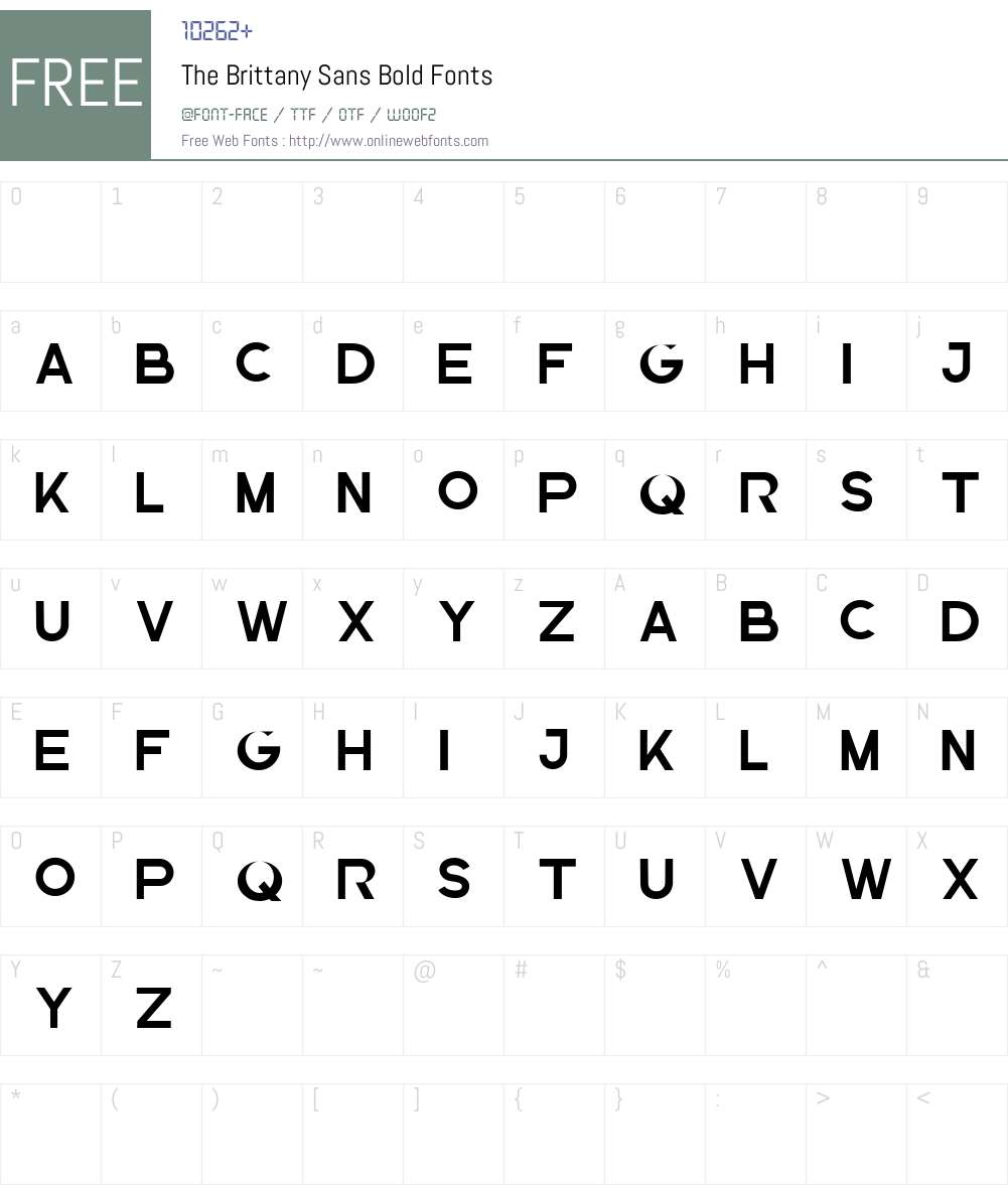 The Brittany Sans Bold Font Screenshots