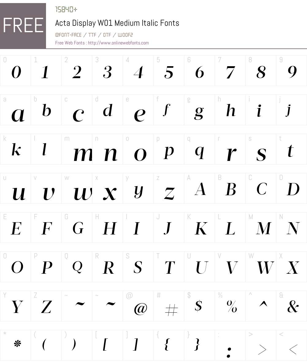 ActaDisplayW01-MediumItalic Font Screenshots