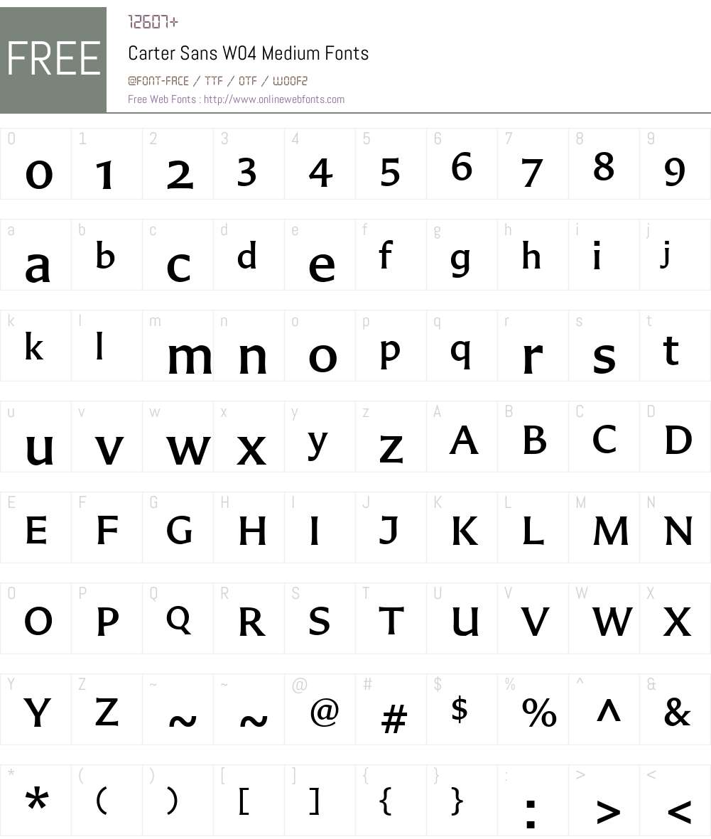 Carter Sans Font Screenshots
