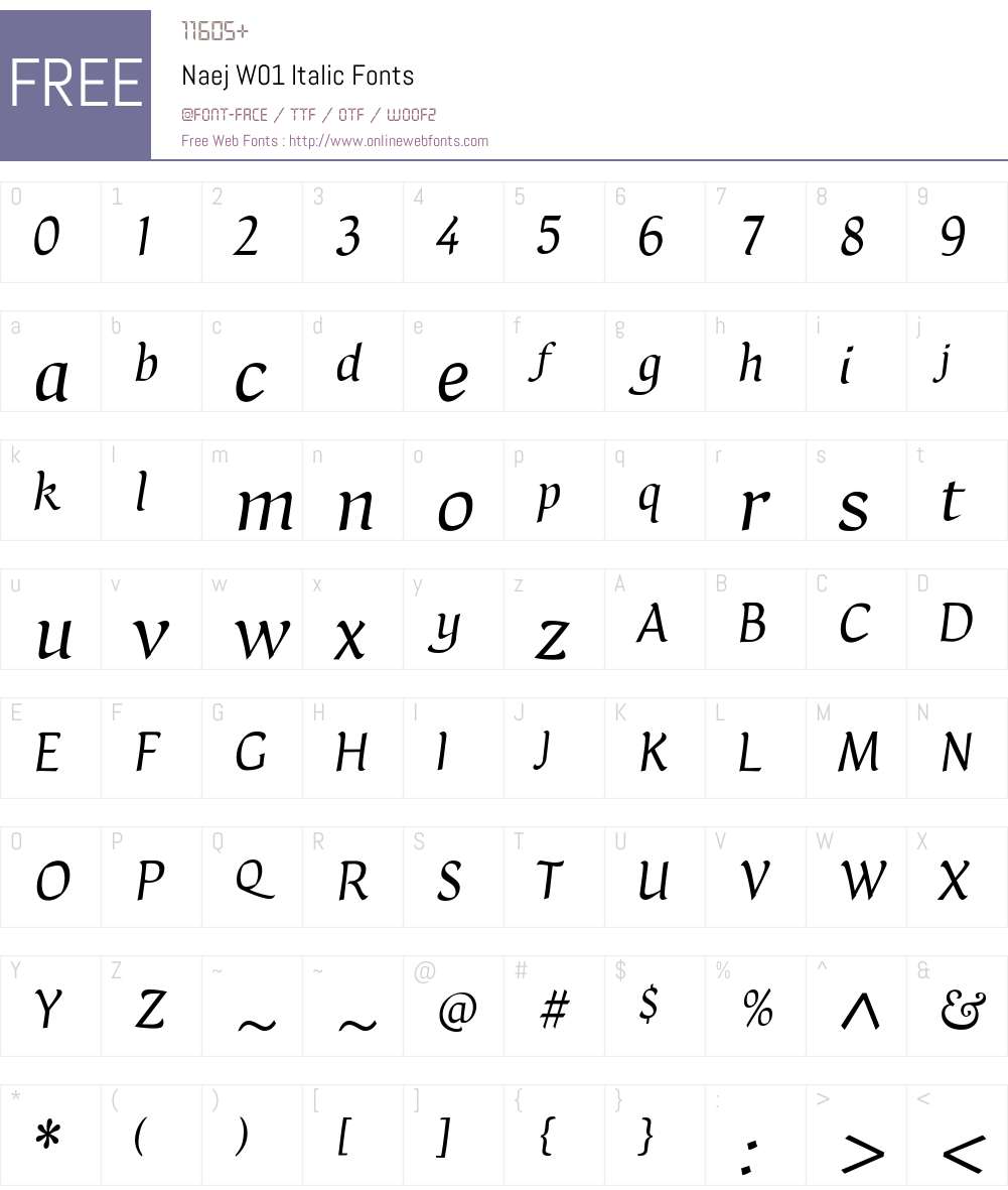 NaejW01-Italic Font Screenshots