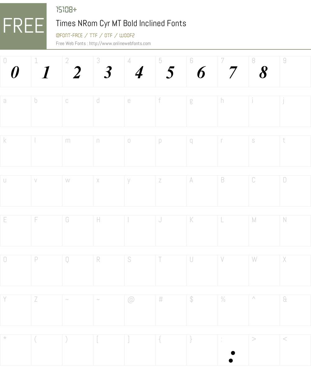 Times NRom Cyr MT Font Screenshots