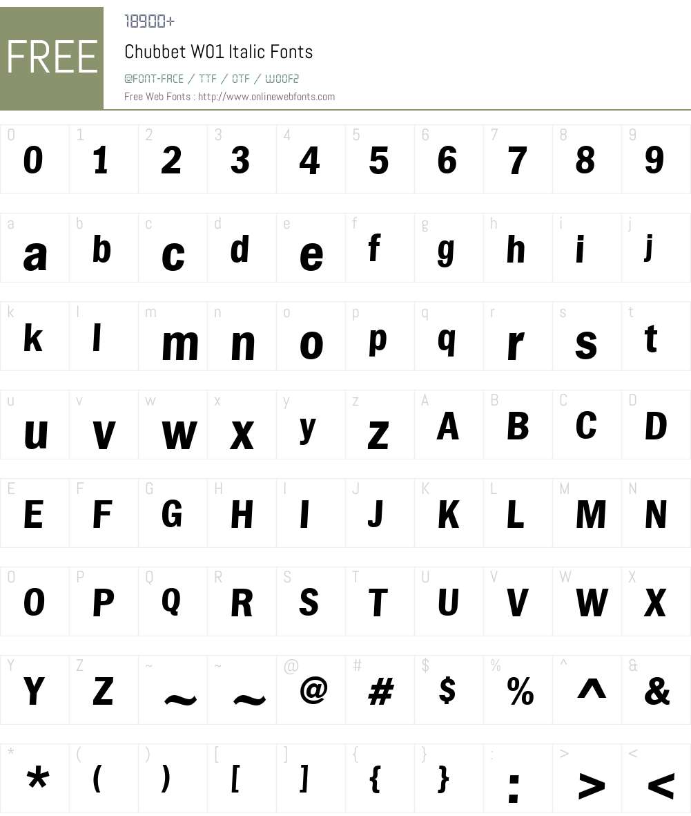 ChubbetW01-Italic Font Screenshots