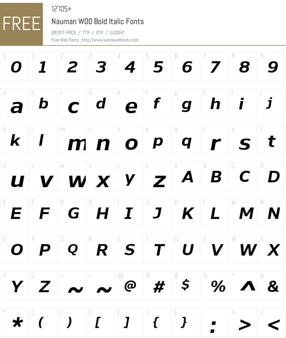 NaumanW00-BoldItalic Font Screenshots
