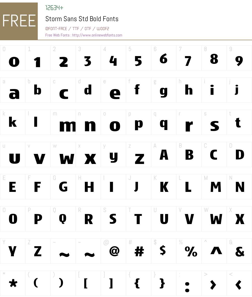Storm Sans Std Font Screenshots